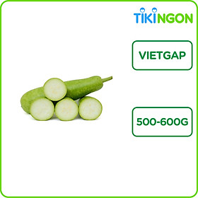 Bầu Xanh VietGap 500g-600g