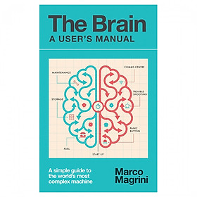 Ảnh bìa The Brain: A User's Manual