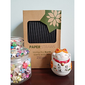 HỘP ỐNG HÚT GIẤY BIOGREEN THÂN THIỆN MÔI TRƯỜNG