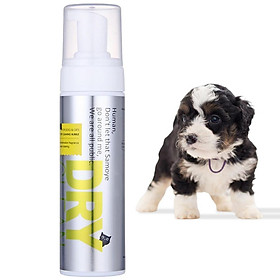 Dầu Gội Khô DRYCLEAN️ Chó Mèo Pet Dry Shampoo, Dog Dry Shampoo Safe & Healthy 200ML
