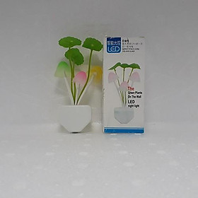 Mua Đèn ngủ cây nấm cảm ứng ánh sáng