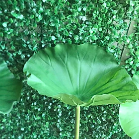 Mua Hoa sen hoa lụa hoa sen giả
