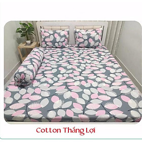 Bộ Drap Cotton THẮNG LỢI 4 món {chuẩn logo cty