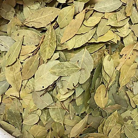 Hình ảnh Lá Nguyệt Quế 1kg (Lá Thơm, Bay Leaves)