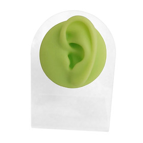 Silicone Ear Model, Imitation Teaching Tool Artificial Body Model for Piercing Practice