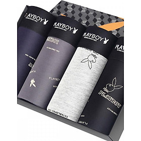 Set 4 Quần Lót Nam Lụa Lạnh Playboy