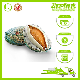 Bào Ngư Úc Xanh Ngọc Bích Nguyên Vỏ - Túi 1Kg (8-10 con)