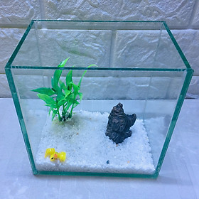 Bể cá mini để bàn 15cm tiểu cảnh 04