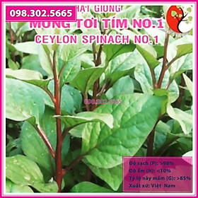 Mua Hạt giống mồng tơi tím đỏ