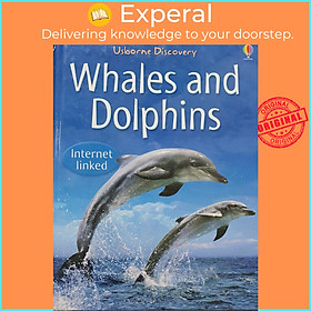 Sách - Whales and Dolphins Usborne by Usborne Discovery (UK edition, hardcover)