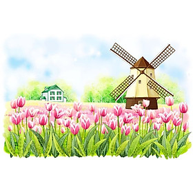 Giấy dán tường - C23