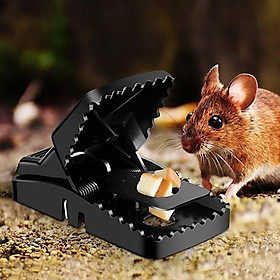 Mua Bẫy chuột thông minh  không có hoá chất độc hại  dễ dàng trong việc lắp  cho mồi  đặt bãy  an toàn.