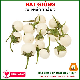 Hạt Giống Cà Pháo Trắng Tròn Rất Sai Trái, Thu Hoạch Nhiều Lần Trong Năm, Chịu Nhiệt Tốt Gói 1gram - Hạt Giống Ba Miền Chịu Nhiệt
