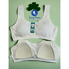 Áo Lá Học Sinh 1399 Cotton Mút May Liền Có Lỗ Thông Hơi Bản Dây To