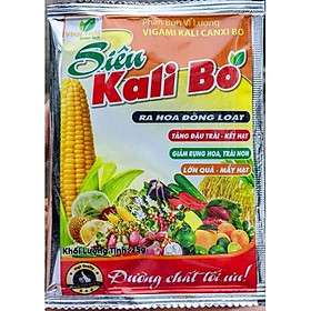 Mua Phân Bón Kali Bo Canxi Bo 25g. Kích Thích Ra Hoa Đậu Quả  Quả To  Chắc  Ngọt