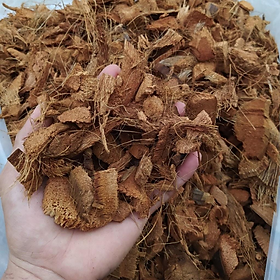 Mua VỎ DỪA TRỒNG LAN ĐÃ QUA XỬ LÝ - GIÁ SIÊU HỜI