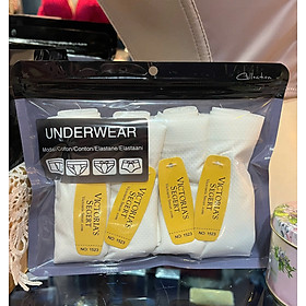 Combo 4 Quần Lót Đúc Su Thông Hơi Nâng Mông Thoải Mái