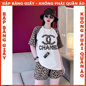 Rập giấy bộ thun tay ragland mã 1180 (BẢN VẼ)