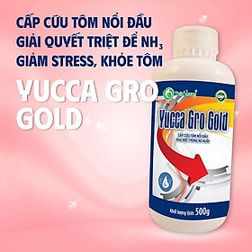 Hấp thụ khí độc ao tôm YUCCA GRO GOLD