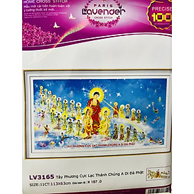 Mua Tranh thêu Tây phương cực lạc thánh chúng a di đà phật LV3165  kích thước 113 x 63 cm