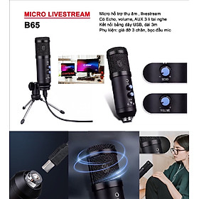 Mua Mic Dùng Cho Máy Tính Cổng USB B65 - Live - Chat - Trực Tuyến