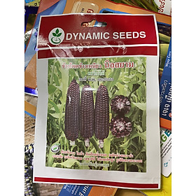 Hạt giống ngô tím dynamix thái lan-gói 80 hạt(tặng kèm phân bón)