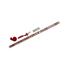 Mua dizi nâu khớp inox
