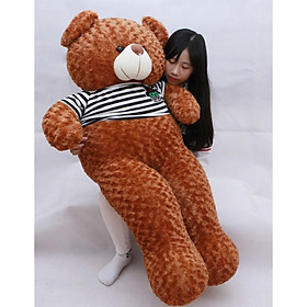 Gấu bông Gấu Teddy cao cấp, dễ thương, ngộ nghĩnh khổ vải 1m6 cao 1m4