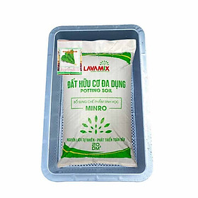 Combo 3 Món Khay Trồng Rau + Đất Hữu Cơ Đa Dụng (20dm3) Trồng Rau Sạch + Hạt Giống Cải Bẹ Xanh Cao Sản (20g)