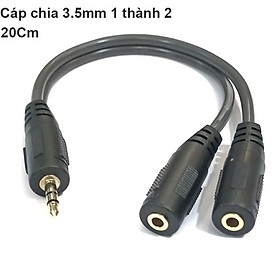 Cáp chia 2 cổng Audio 3.5mm dài 20cm Dtech DT-6236. Hàng chính hãng !!!