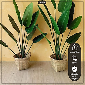 Giỏ tre cần xe tre decor cây cảnh 25cm GLB07