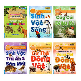 Combo Sinh Vật Sống, Cây Cối Diệu Kỳ, Sinh Vật Trú Ẩn & Săn Mồi, Cơ Thề Động Vật, Du Hành Ngược Thời Gian Đến Xứ Sở Khủng Long,