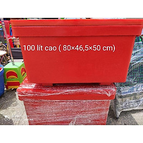 Mua thùng đá thái lan cao cấp