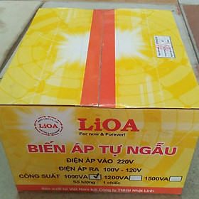 Mua Bộ đổi nguồn 220v sang 100v - 120v lioa 1000va