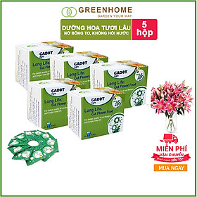 Bột Cắm Hoa ISRAEL (Combo 50 gói dưỡng hoa), Hiệu Longlife giữ hoa tươi lâu gấp 2 lần và 14 ngày không thay nước mới