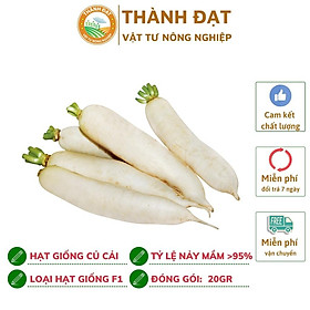 Mua Hạt giống củ cải trắng  Hạt củ cải trắng ngọt  củ to mập năng suất cao gói 20gr