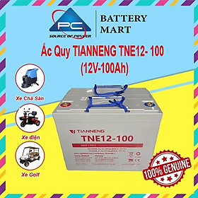 Ắc Quy Thiên Năng Tianneng TNE12-100 (12V - 100Ah), ắc quy dùng cho xe điện, xe golf, xe chà sàn