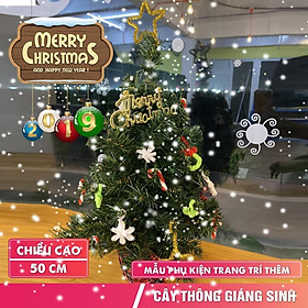 Mua Cây thông Noel mini trang trí cao 50cm tặng phụ kiện Cây thông mini 50cm đầy đủ phụ kiện mẫu C12