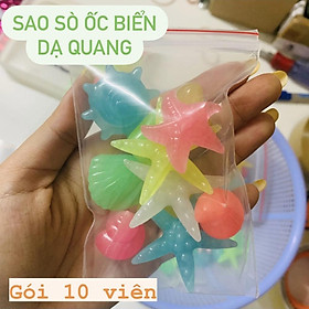 Sỏi Phát Quang Sao,Ốc, Sò Biển (Sáng Trong Bóng Tối) Trang Trí Hồ Cá, Sân Vườn