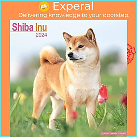 Sách - Shiba Inu Calendar 2024  Square Dog Breed Wall Calendar - 16 Month by  (UK edition, paperback)