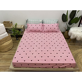 Bộ Chăn Ga Gối Hè Thu 5 Món CHM17
