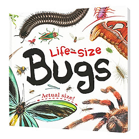 Life-Size Bugs