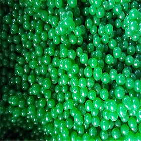 Mua Hạt nở thủy sinh trồng cây 1 màu - TRANG TRÍ GÓI 2000 VIÊN mã GEJ73 Aspring come