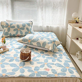 Mua Chiếu Điều Hoà Tencel Cao Su Non Hàng Nhập Khẩu Cao Cấp 3 Món Xanh Trăng Nhiều Mẫu