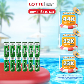 Combo 12 hũ Kẹo Gum không đường Lotte Xylitol - Hương Lime Mint 26,1 g