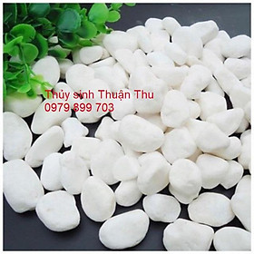 Sỏi trắng trang trí tiểu cảnh sân vườn, non bộ, bể cá, bể thủy sinh 1kg