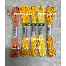 Mua Chỉ cotton thêu tranh chữ thập mã DMC  các mã chỉ thêu từ 700 đến 799