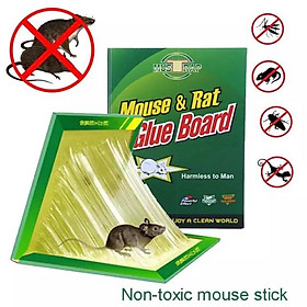 Mua Kiêu siêu dính bẫy chuột hiệu quả