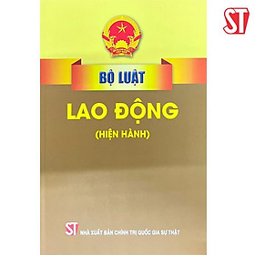 Bộ luật lao động ( hiện hành)