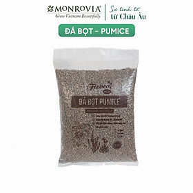 Đá bọt pumice, trộn giá thể trồng hoa hồng, cây kiểng, trồng xương rồng, sen đá, túi 5 lít